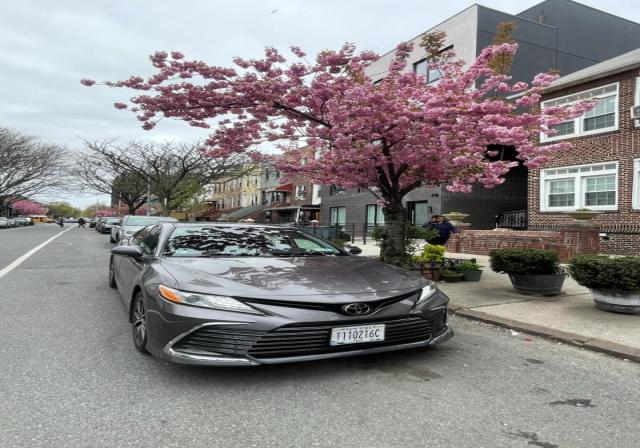 TLC Car Market - 2023 Toyota Camry XLE